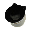 Bebedouro Anti-Refluxo para Gatos